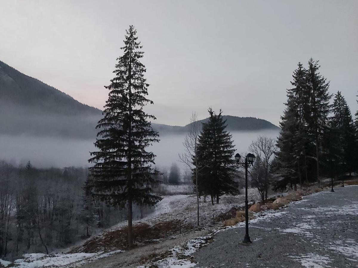 Resort Valea Tatarilor ラク・ロシュ エクステリア 写真