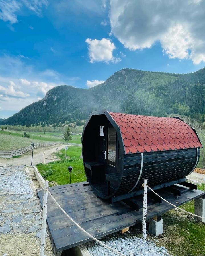 Resort Valea Tatarilor ラク・ロシュ エクステリア 写真
