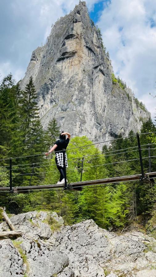 Resort Valea Tatarilor ラク・ロシュ エクステリア 写真
