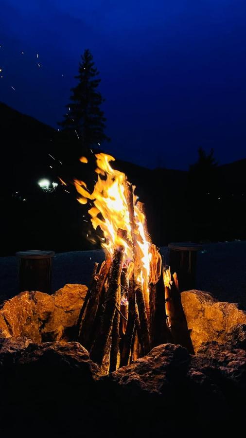 Resort Valea Tatarilor ラク・ロシュ エクステリア 写真
